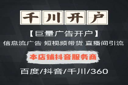 SEM代运营经典案例解析与启示